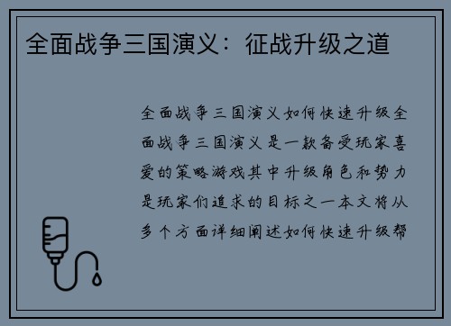 全面战争三国演义：征战升级之道